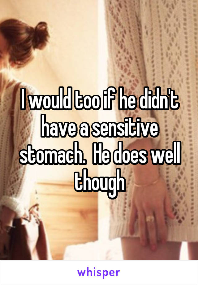 I would too if he didn't have a sensitive stomach.  He does well though