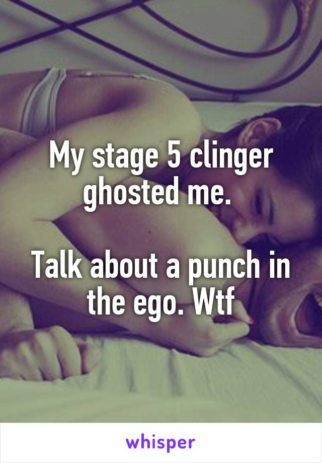 My stage 5 clinger ghosted me. 

Talk about a punch in the ego. Wtf