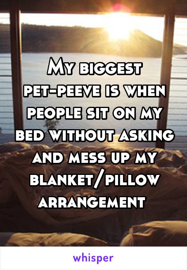 My biggest pet-peeve is when people sit on my bed without asking and mess up my blanket/pillow arrangement 