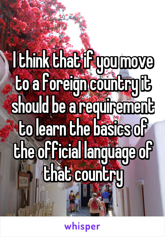 I think that if you move to a foreign country it should be a requirement to learn the basics of the official language of that country