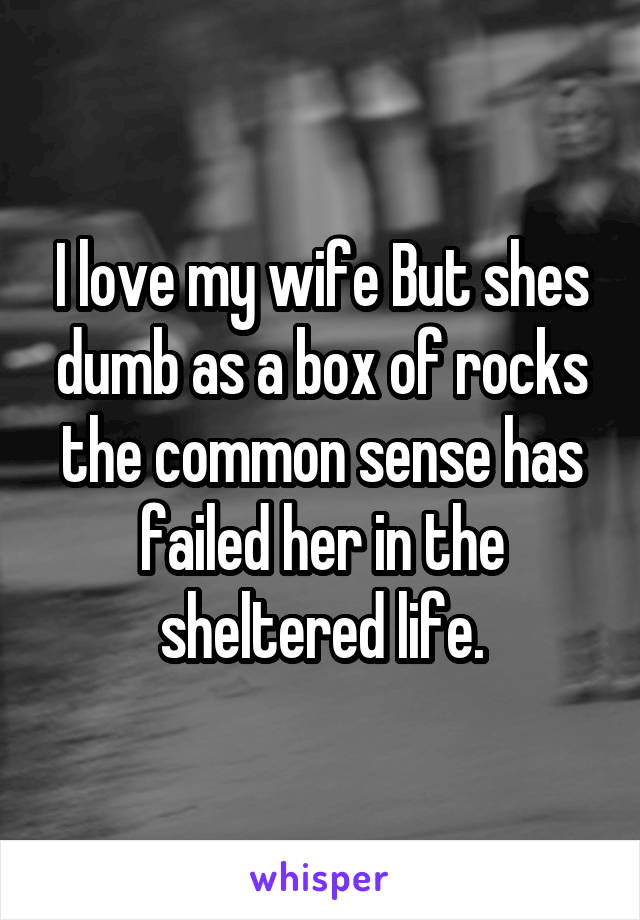 I love my wife But shes dumb as a box of rocks the common sense has failed her in the sheltered life.