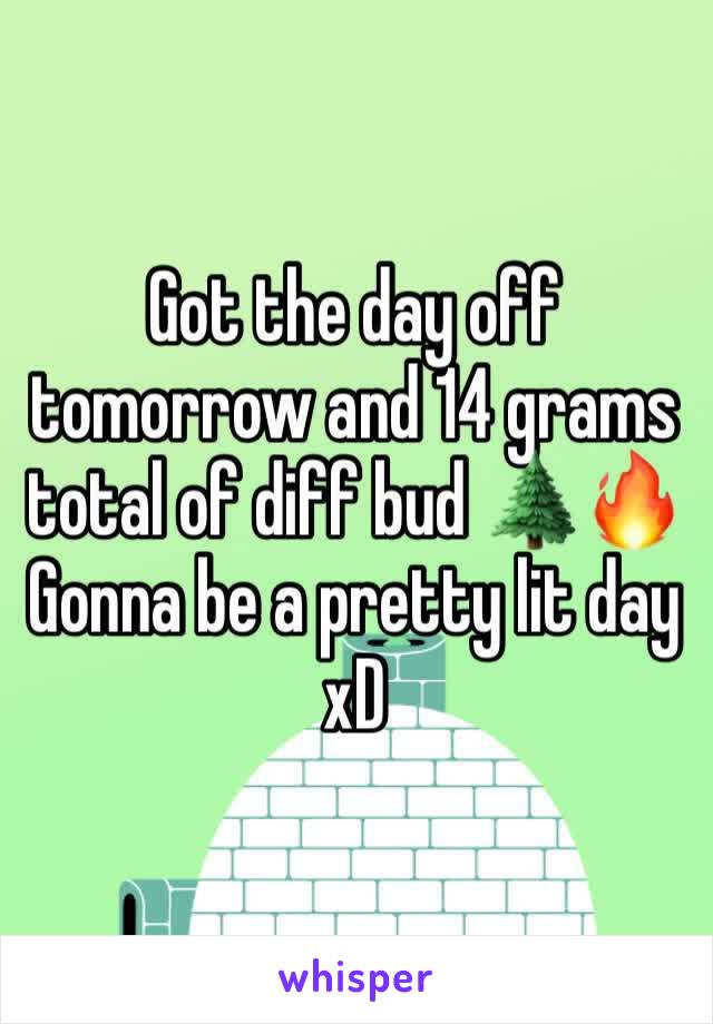 Got the day off tomorrow and 14 grams total of diff bud 🌲🔥 
Gonna be a pretty lit day xD