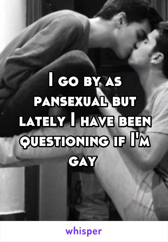 I go by as pansexual but lately I have been questioning if I'm gay 