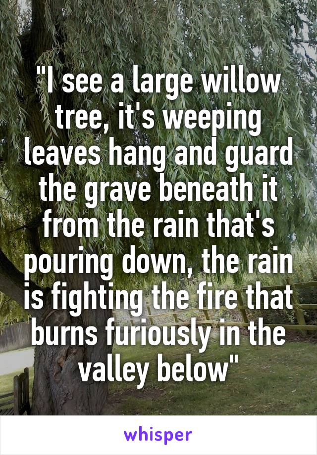 "I see a large willow tree, it's weeping leaves hang and guard the grave beneath it from the rain that's pouring down, the rain is fighting the fire that burns furiously in the valley below"