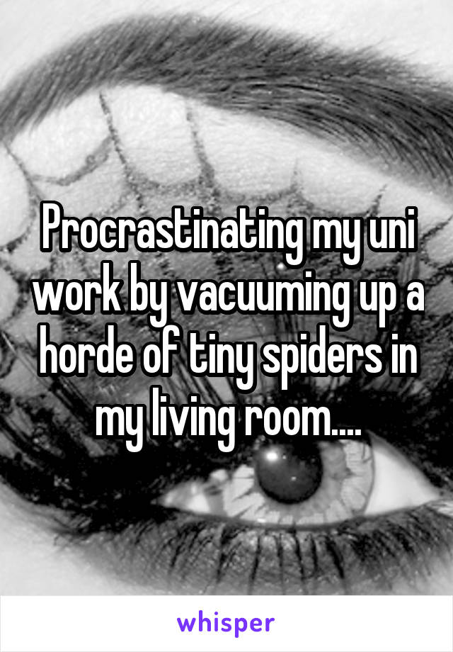 Procrastinating my uni work by vacuuming up a horde of tiny spiders in my living room....