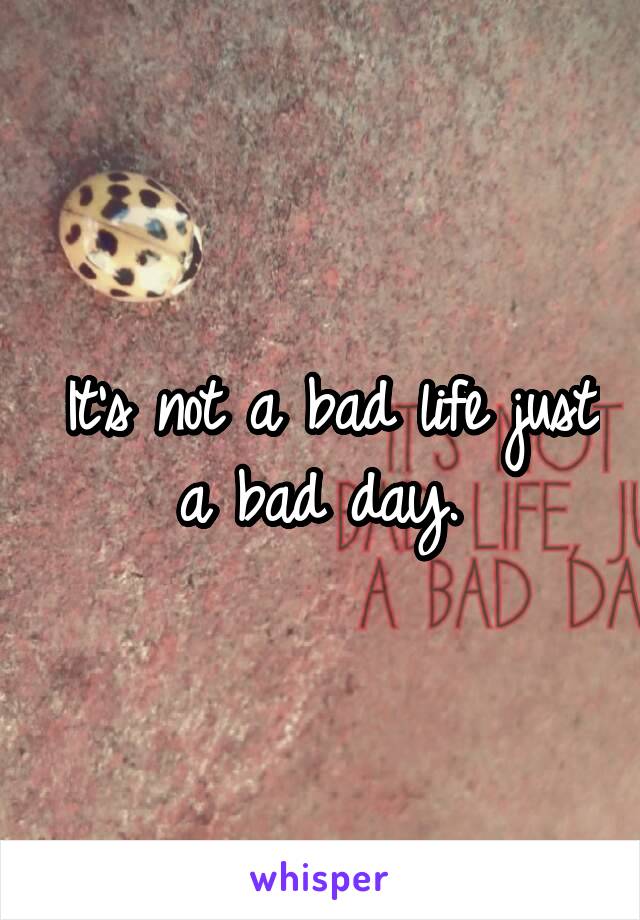 It's not a bad life just a bad day. 