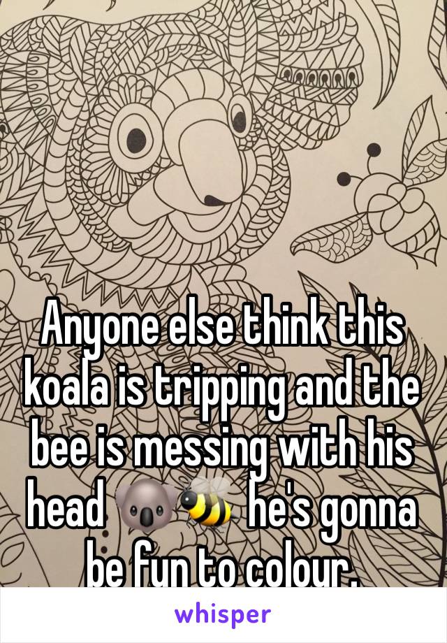 Anyone else think this koala is tripping and the bee is messing with his head 🐨🐝 he's gonna be fun to colour.