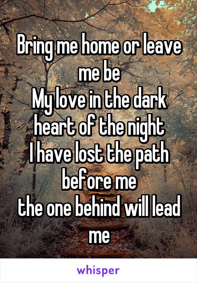 Bring me home or leave me be
My love in the dark heart of the night
I have lost the path before me
the one behind will lead me