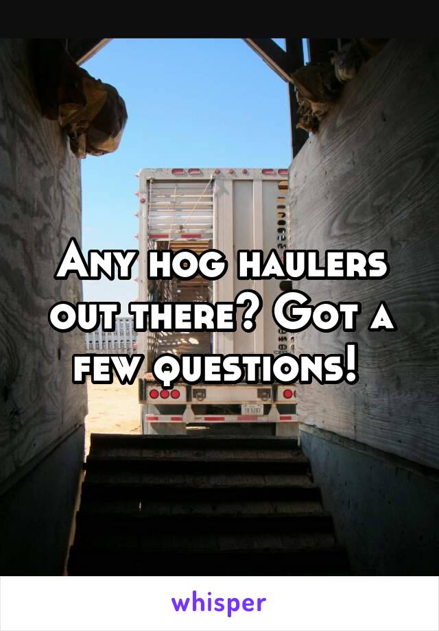 Any hog haulers out there? Got a few questions! 