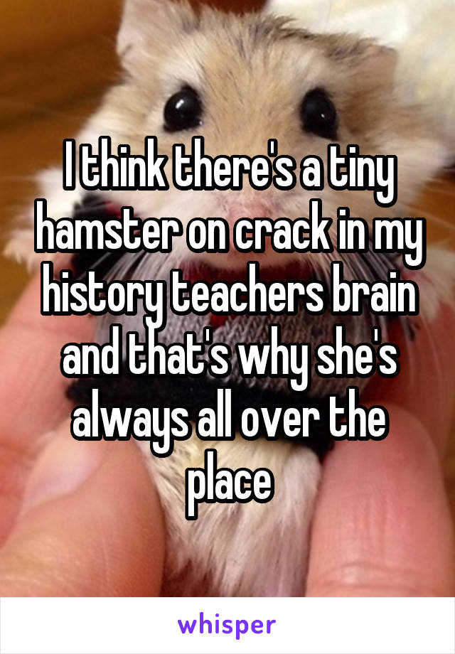 I think there's a tiny hamster on crack in my history teachers brain and that's why she's always all over the place