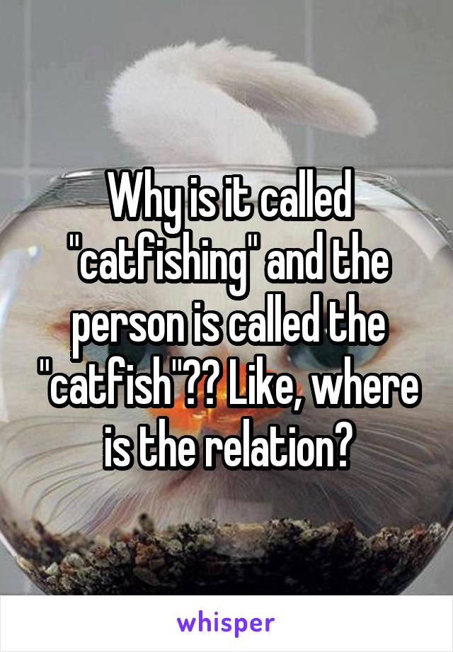 Why is it called "catfishing" and the person is called the "catfish"?? Like, where is the relation?