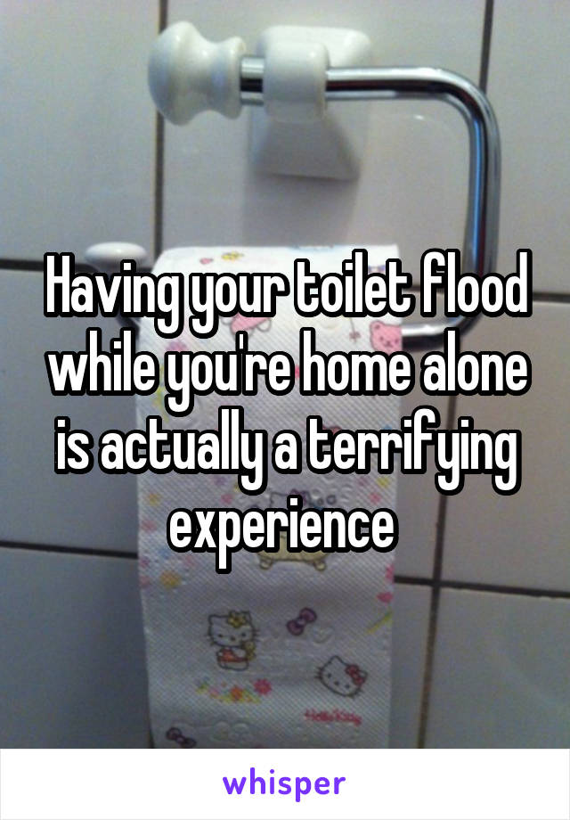 Having your toilet flood while you're home alone is actually a terrifying experience 