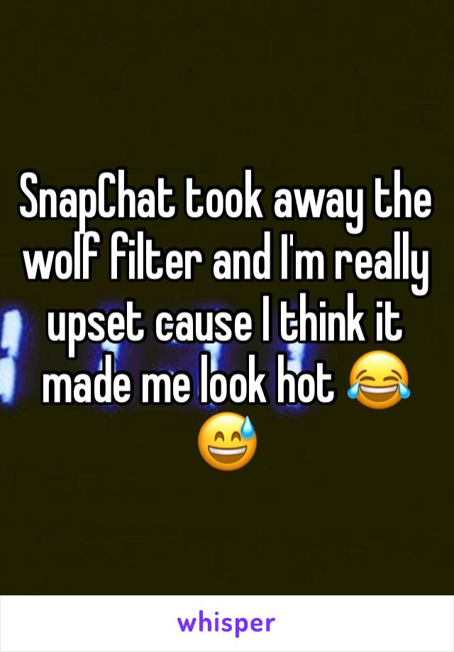 SnapChat took away the wolf filter and I'm really upset cause I think it made me look hot 😂😅