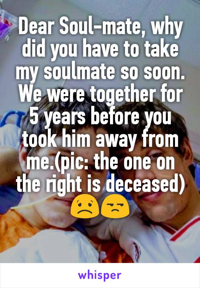 Dear Soul-mate, why did you have to take my soulmate so soon. We were together for 5 years before you took him away from me.(pic: the one on the right is deceased)😟😒