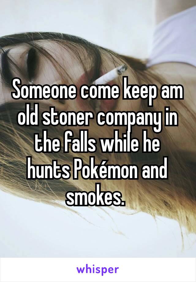 Someone come keep am old stoner company in the falls while he hunts Pokémon and smokes. 