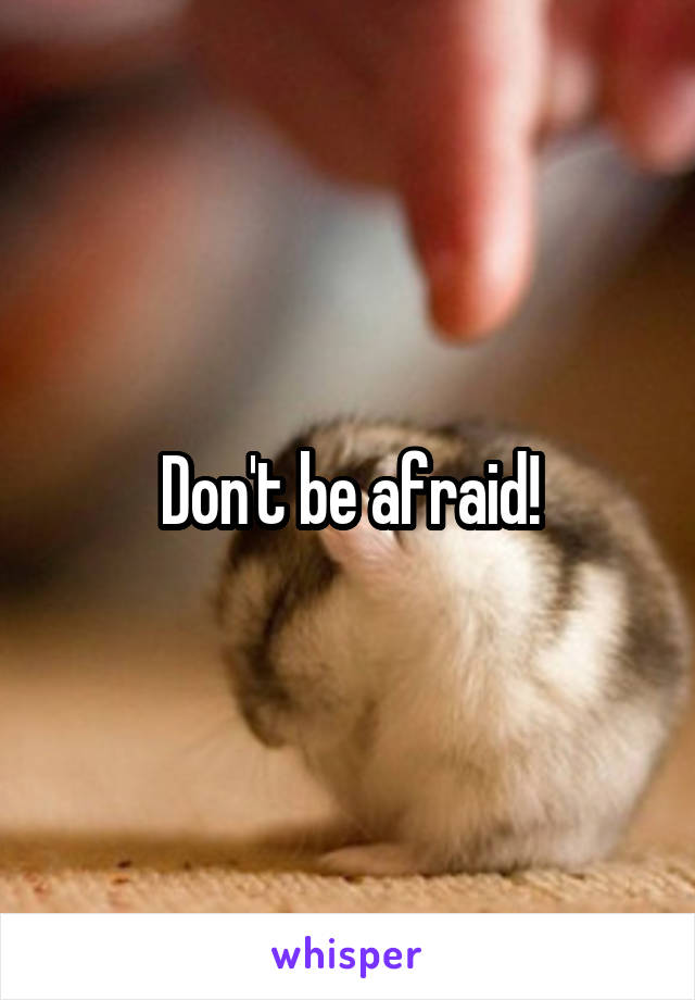 Don't be afraid!