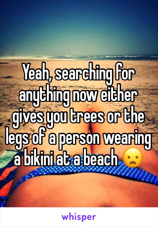 Yeah, searching for anything now either gives you trees or the legs of a person wearing a bikini at a beach 😦