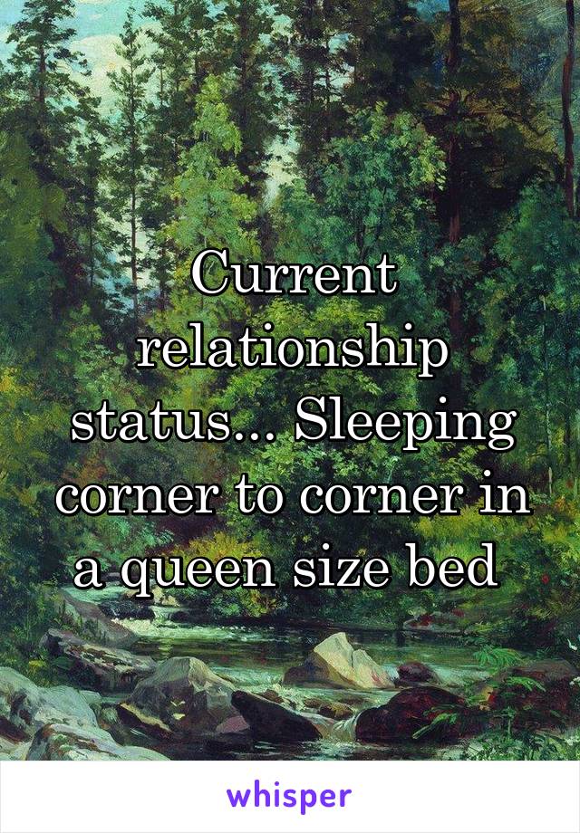 Current relationship status... Sleeping corner to corner in a queen size bed 