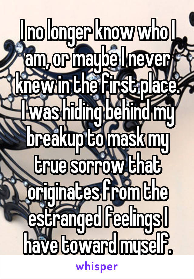 I no longer know who I am, or maybe I never knew in the first place. I was hiding behind my breakup to mask my true sorrow that originates from the estranged feelings I have toward myself.