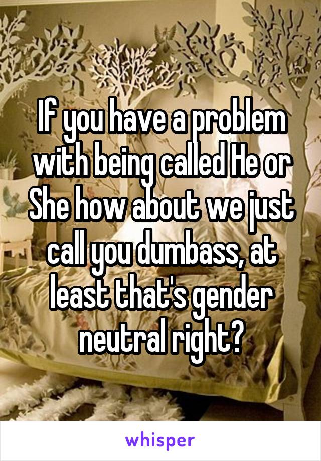 If you have a problem with being called He or She how about we just call you dumbass, at least that's gender neutral right?