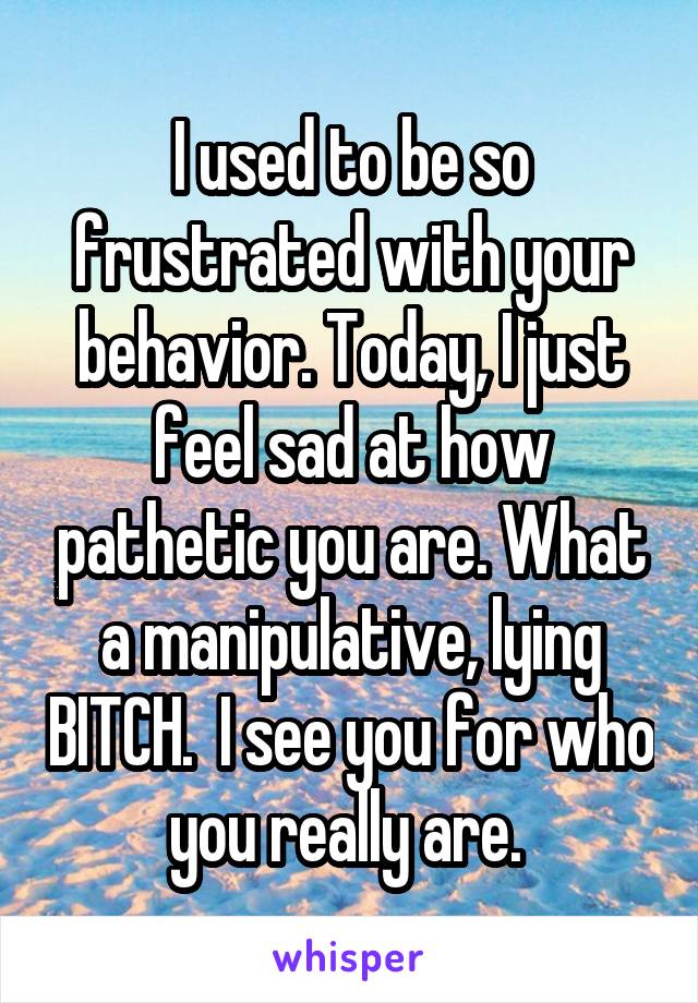 I used to be so frustrated with your behavior. Today, I just feel sad at how pathetic you are. What a manipulative, lying BITCH.  I see you for who you really are. 