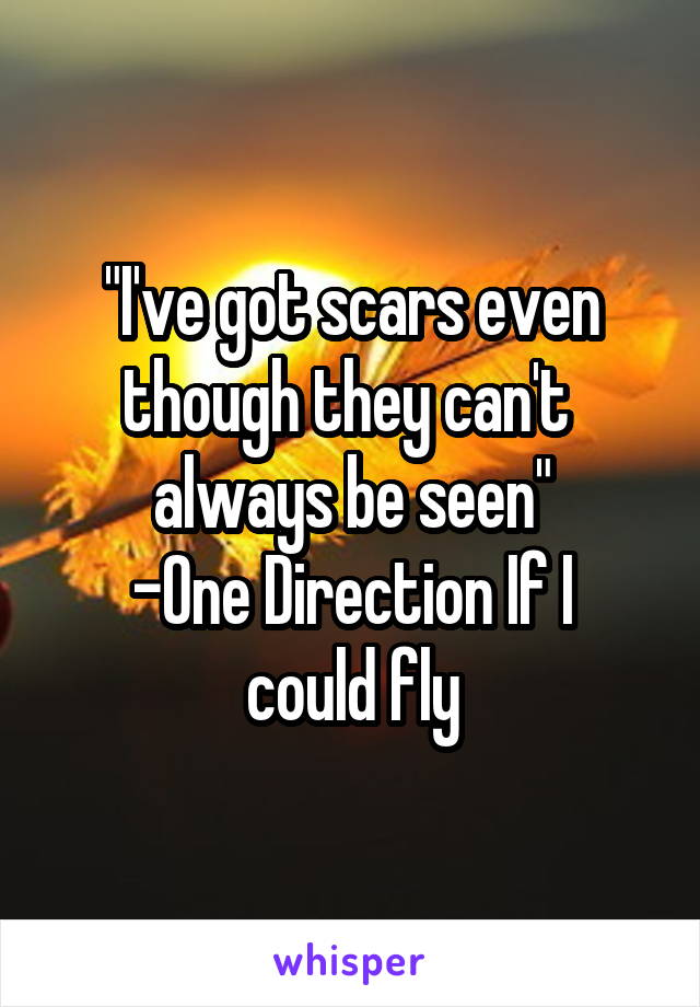 "I've got scars even though they can't  always be seen"
-One Direction If I could fly