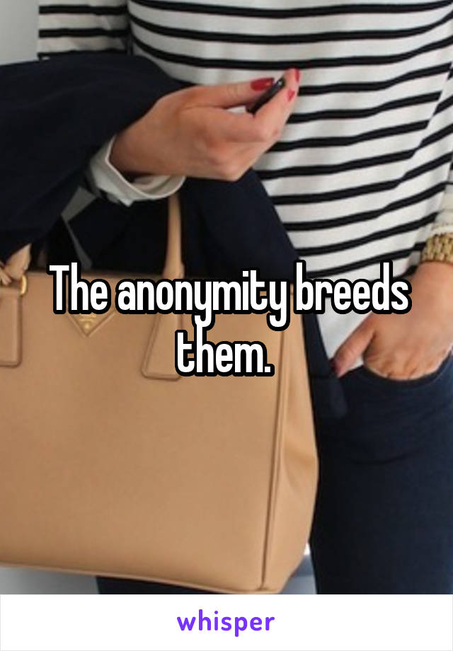 The anonymity breeds them. 