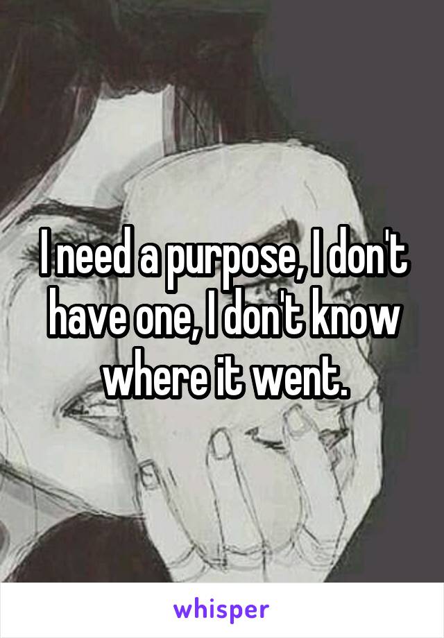 I need a purpose, I don't have one, I don't know where it went.