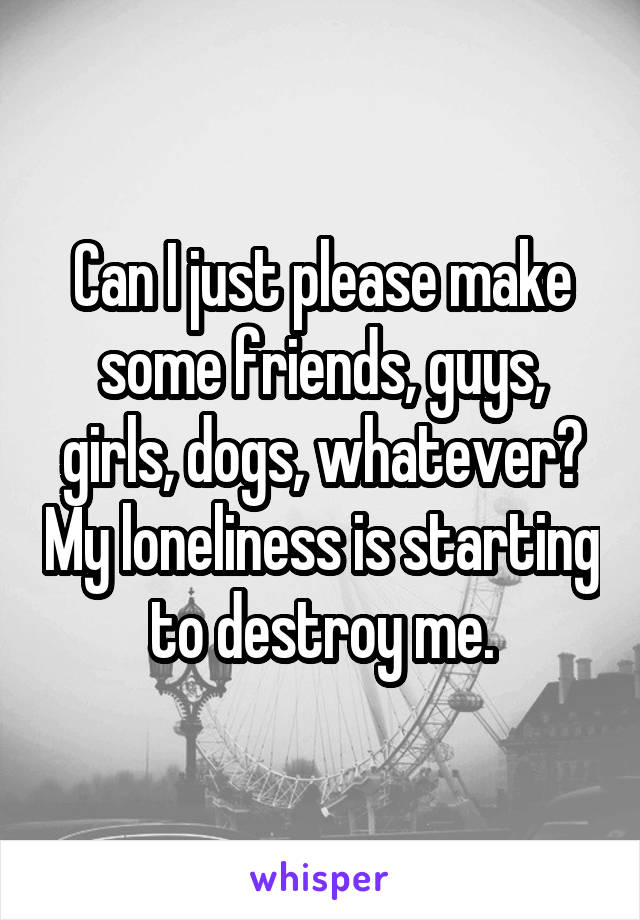 Can I just please make some friends, guys, girls, dogs, whatever? My loneliness is starting to destroy me.