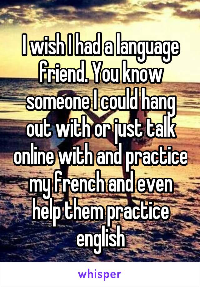 I wish I had a language friend. You know someone I could hang out with or just talk online with and practice my french and even help them practice english