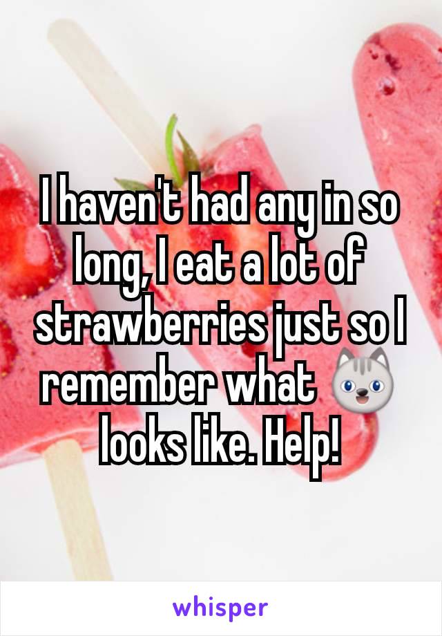 I haven't had any in so long, I eat a lot of strawberries just so I remember what 😺looks like. Help!