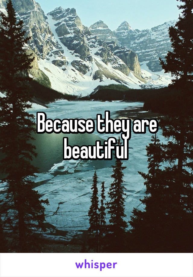 Because they are beautiful 