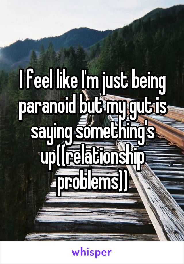 I feel like I'm just being paranoid but my gut is saying something's up((relationship problems))