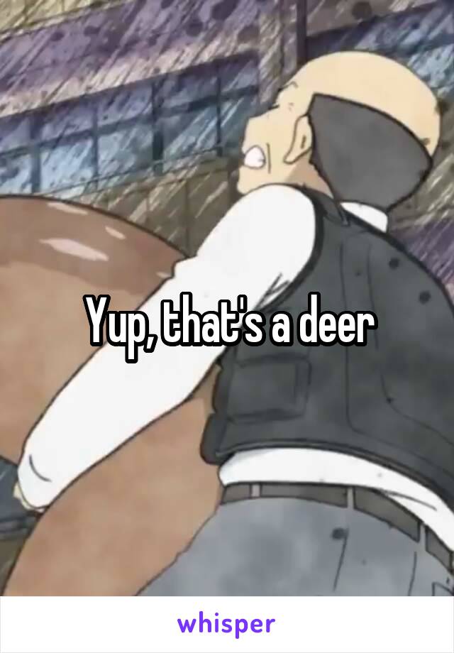 Yup, that's a deer