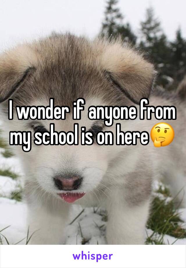 I wonder if anyone from my school is on here🤔