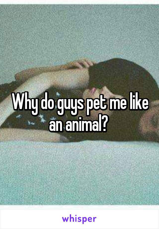 Why do guys pet me like an animal? 