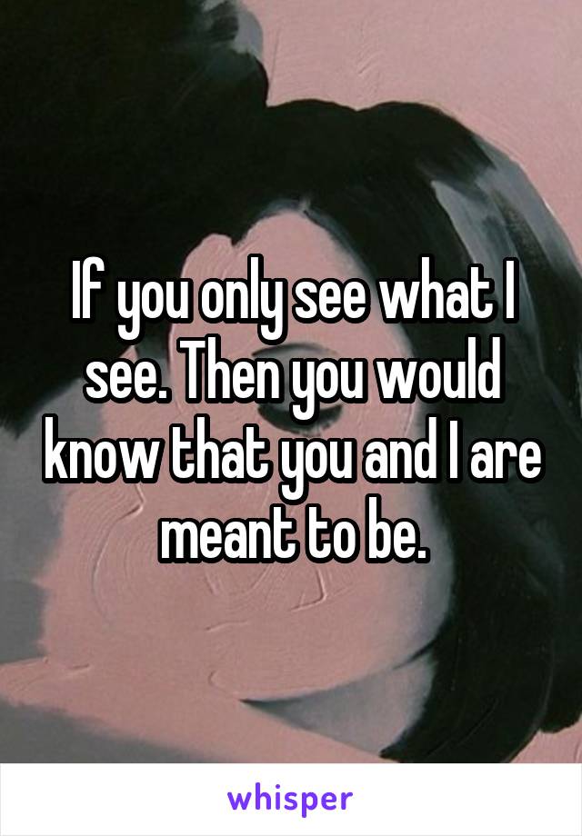 If you only see what I see. Then you would know that you and I are meant to be.