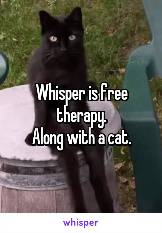 Whisper is free therapy.
Along with a cat.