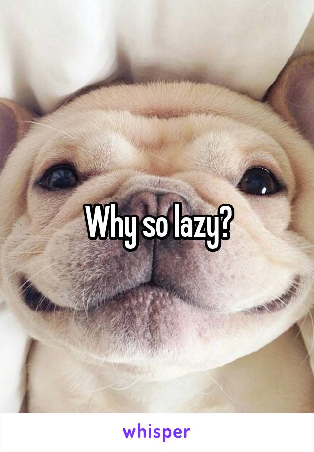 Why so lazy?