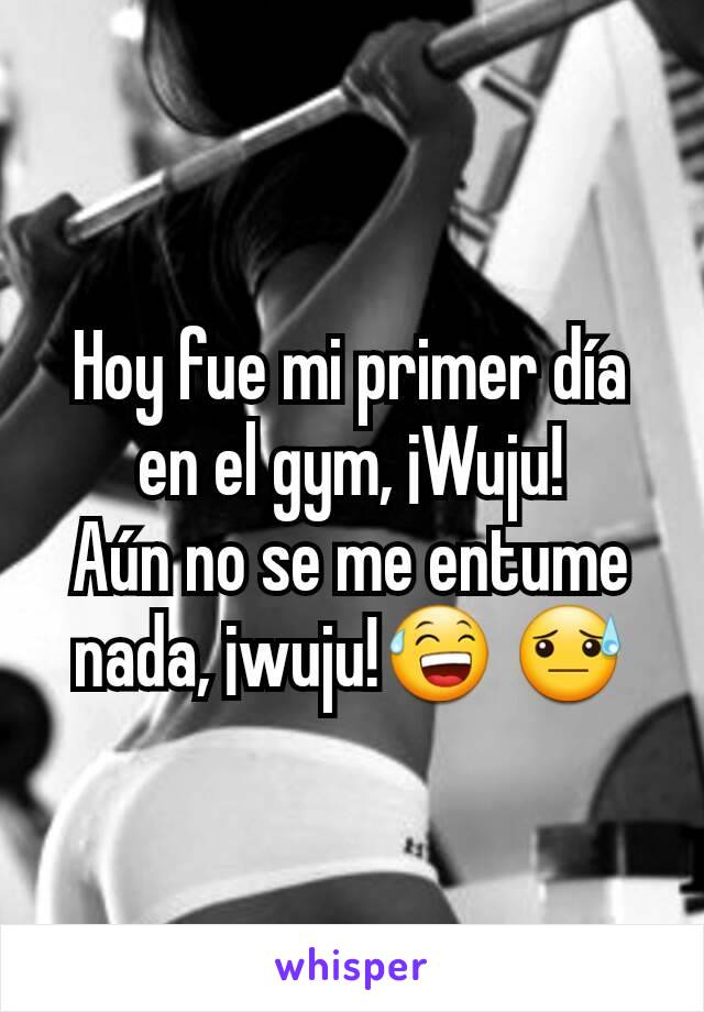 Hoy fue mi primer día en el gym, ¡Wuju!
Aún no se me entume nada, ¡wuju!😅 😓