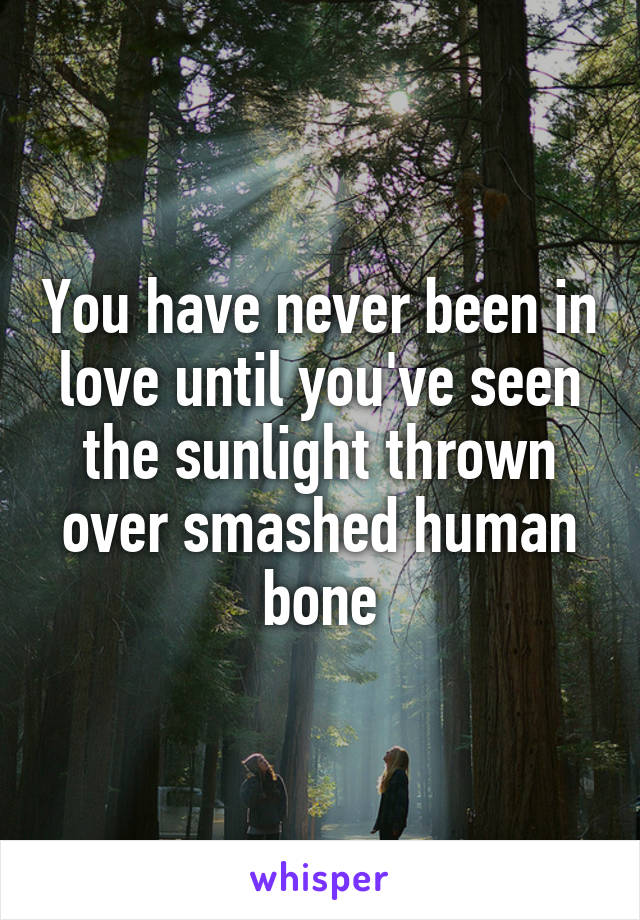 You have never been in love until you've seen the sunlight thrown
over smashed human bone