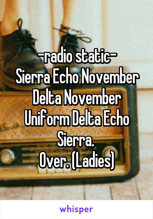 -radio static-
Sierra Echo November Delta November Uniform Delta Echo Sierra. 
Over. (Ladies)