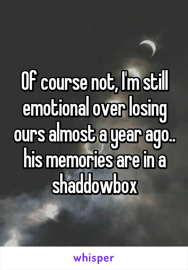 Of course not, I'm still emotional over losing ours almost a year ago.. his memories are in a shaddowbox
