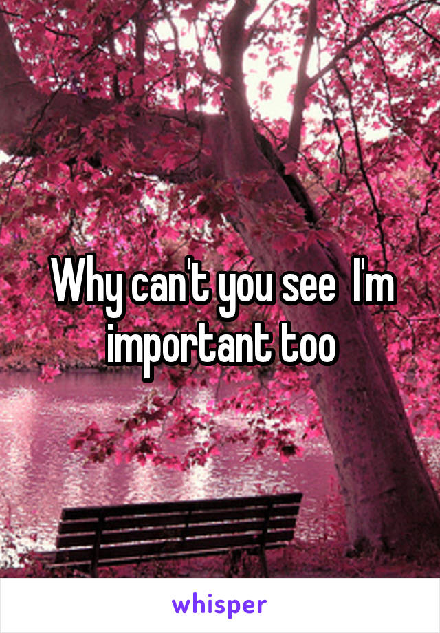 Why can't you see  I'm important too