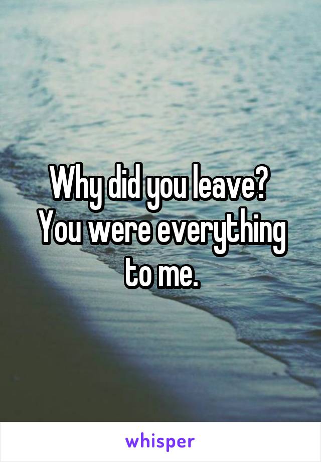 Why did you leave? 
You were everything to me.