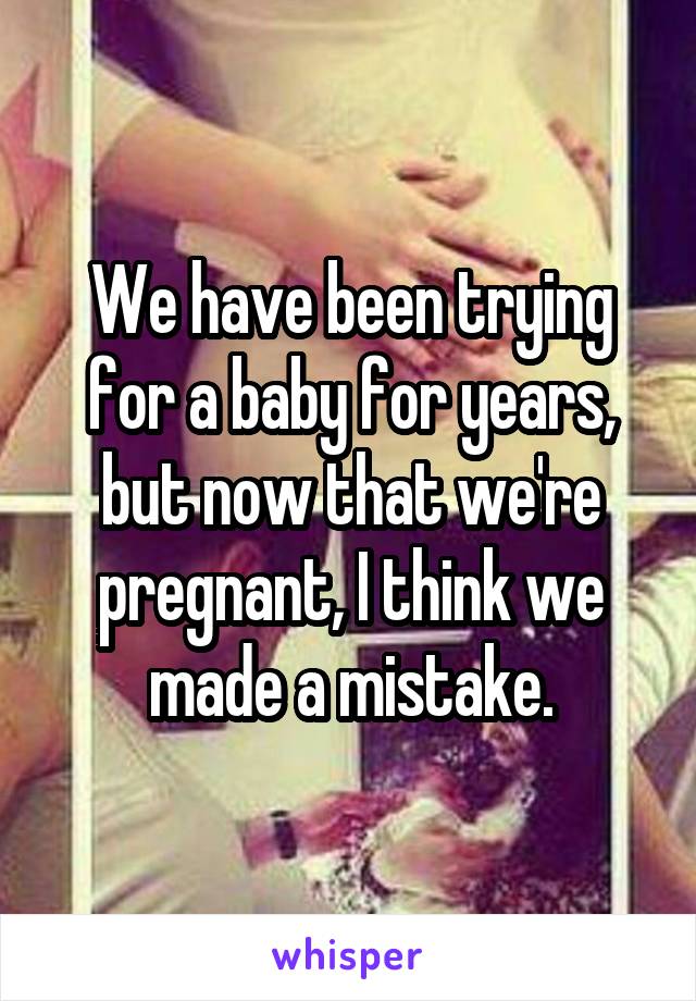 We have been trying for a baby for years, but now that we're pregnant, I think we made a mistake.