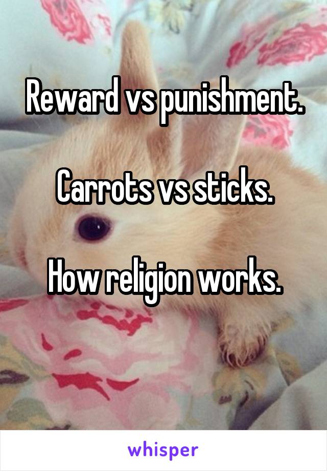 Reward vs punishment.

Carrots vs sticks.

How religion works.

