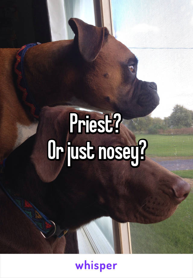 Priest? 
Or just nosey?