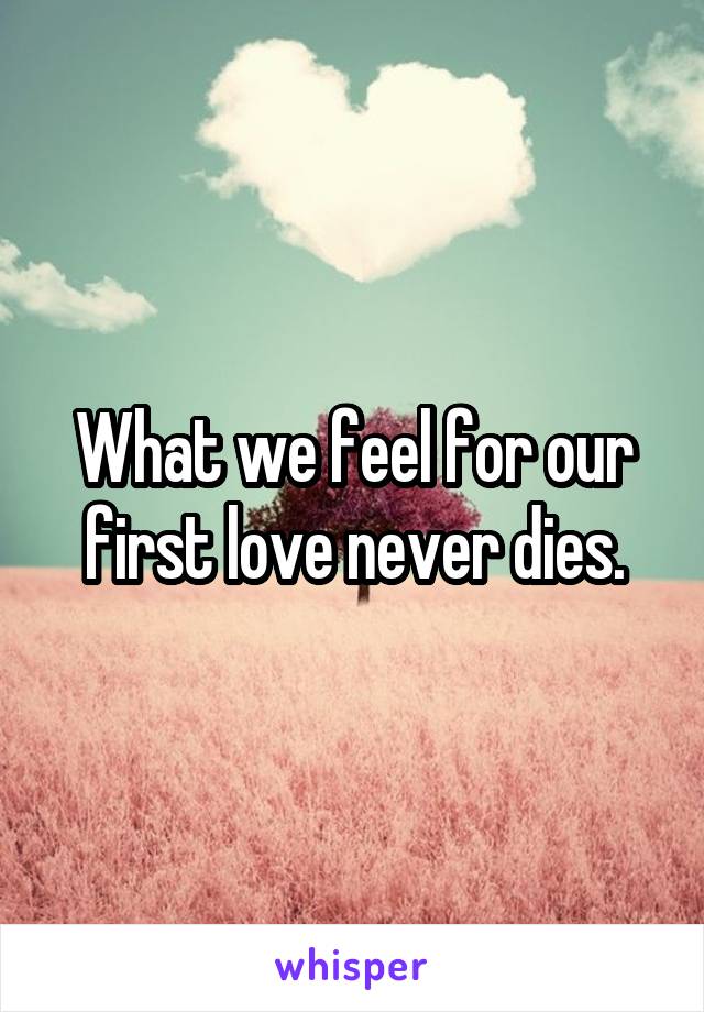 What we feel for our first love never dies.