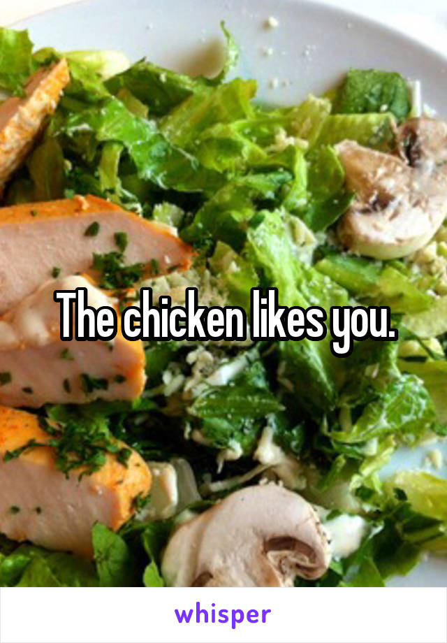 The chicken likes you.